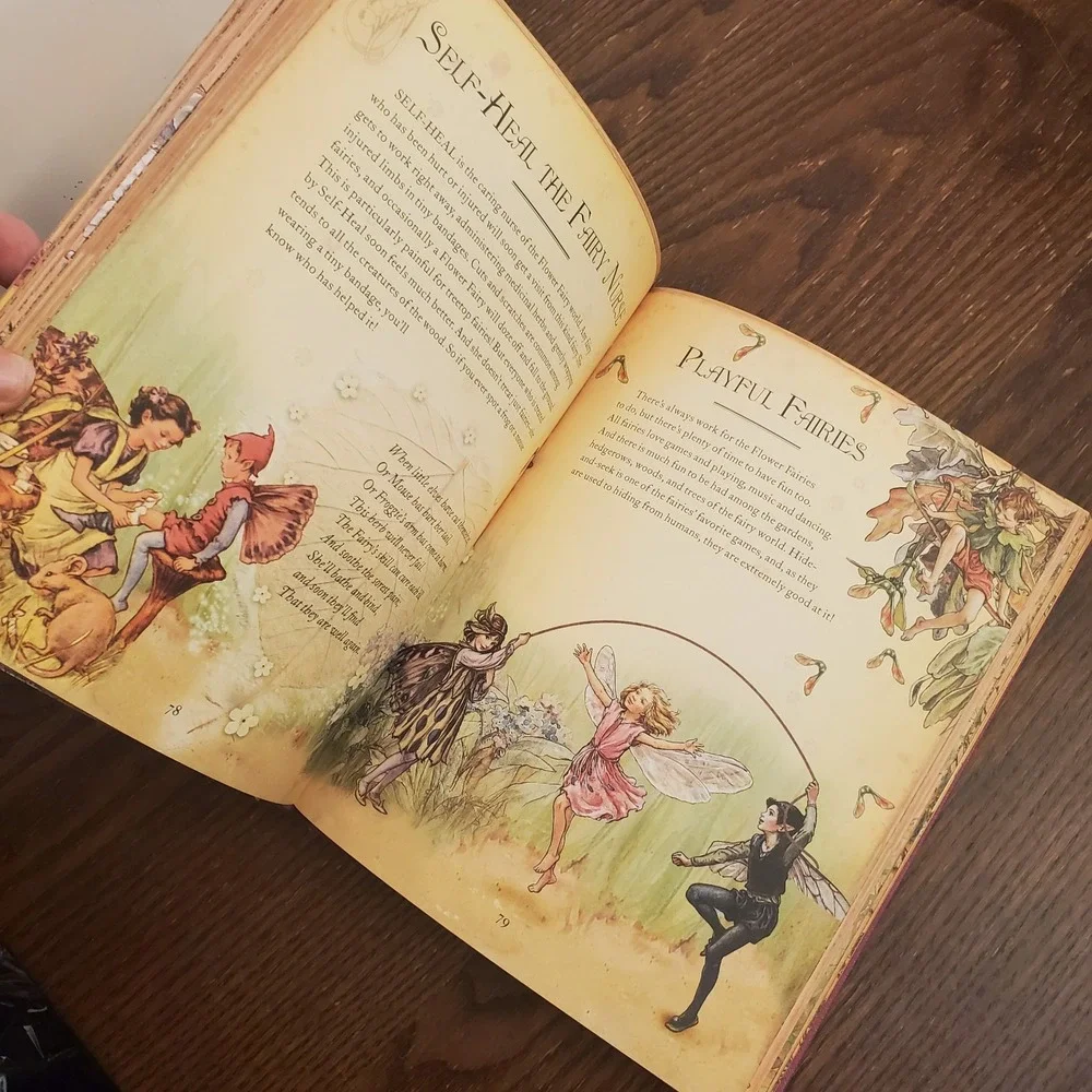 The‎ Girls' Book of Flower Fairies by Barker, Cicely Mary - Fairycore